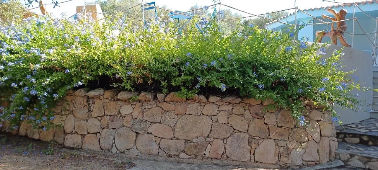 Villa Porto Rotondo Olbia 0*,