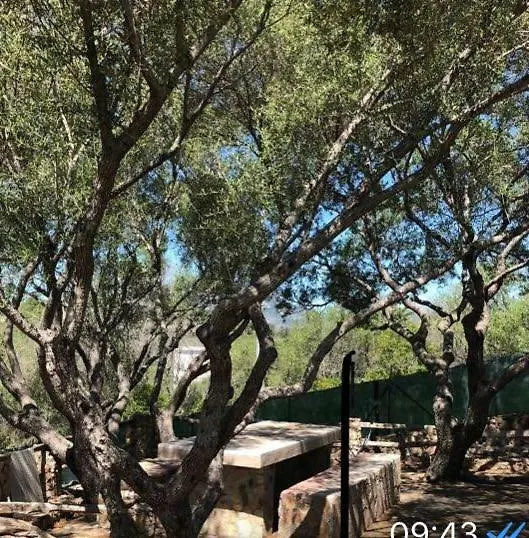 Holiday home Villa Porto Rotondo Olbia Italy